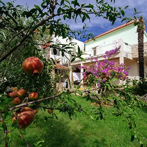 https://apartment-maslina-bibinje.hotelinzadar.com